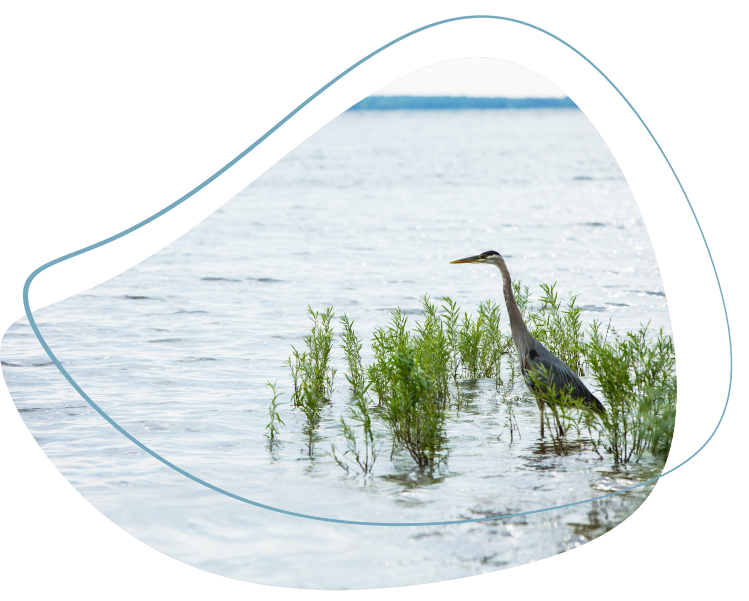 Démarche pour le lac des Deux Montagnes CRE Montréal